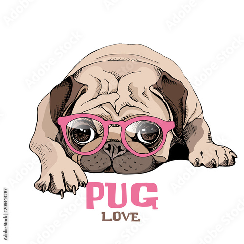 Pug Puppy in a pink glasses repose. Vector illustration. photo