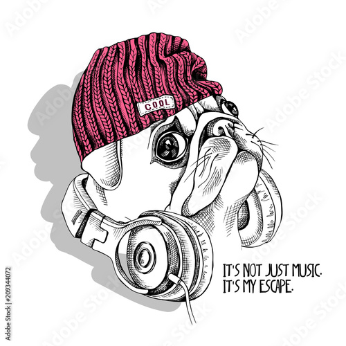 Pug in a hipster hat and with a headphones on a neck. Vector illustration.