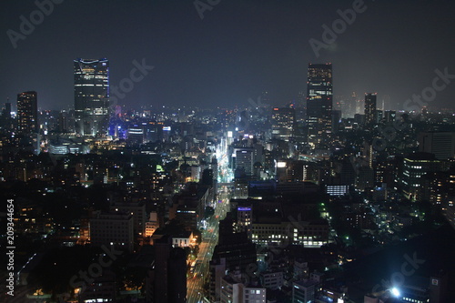 東京の夜景 © 充浩 見越