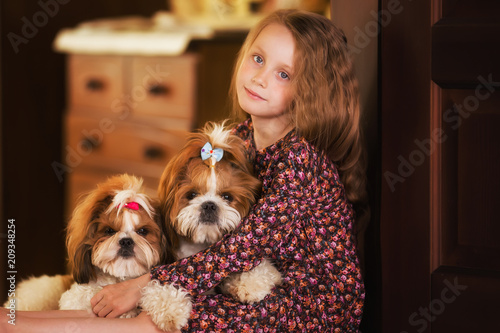 Portrait of a cute little girl with two dogs shih tzu
