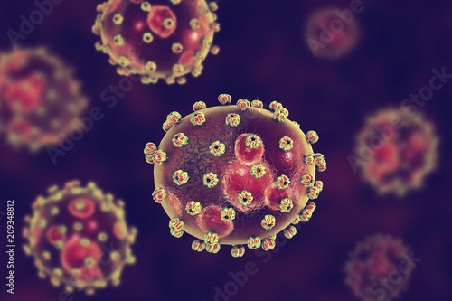 Lassa fever viruses, 3D illustration. RNA-viruses from Arenaviridae family, they have inner inclusions and outer glycoprotein spikes, the causative agent of Lassa hemorrhagic fever photo
