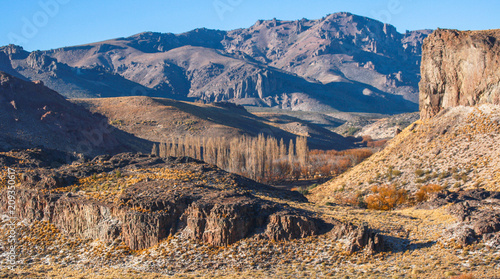 Desert view from ruta 40, near Bariloche
