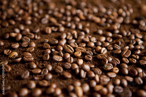 Coffee beans on coffee powder
