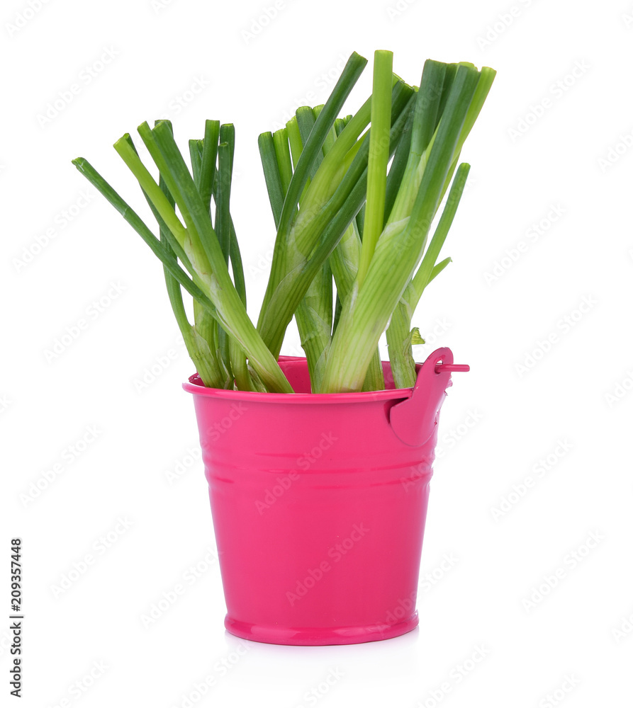 Green onion isolated on the white background Green onion isolated on the white background