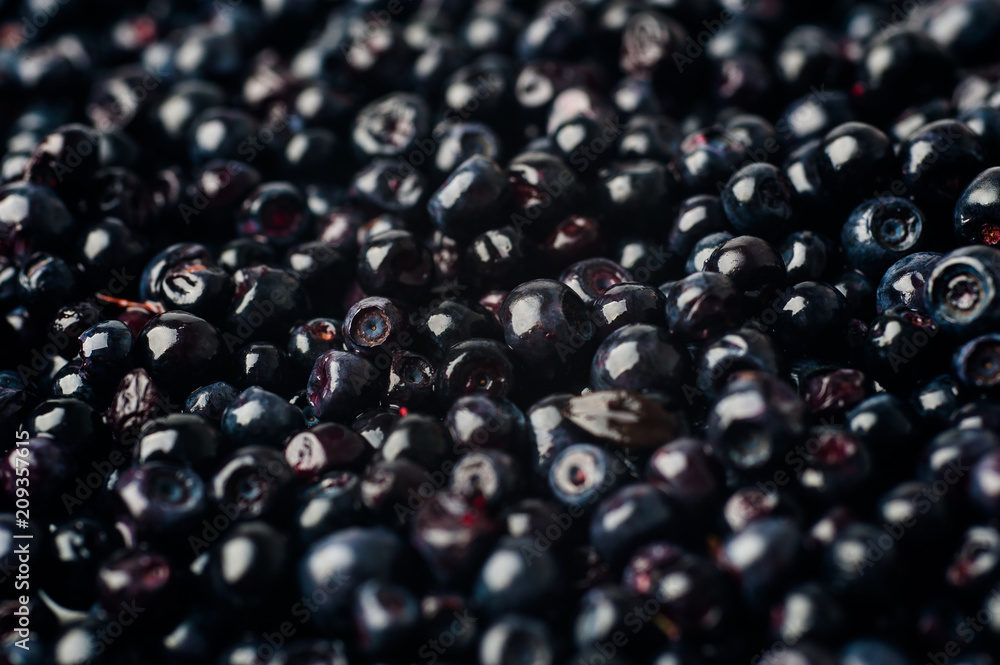 blueberries background. blueberries are scattered blueberries background. blueberries are scattered