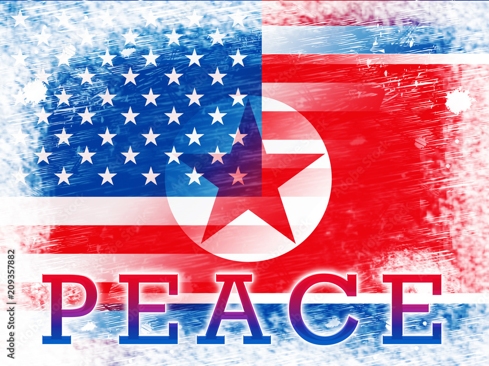Obraz premium American North Korea Peace Freedom Flag 3d Illustration