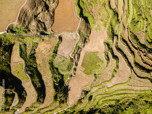 Aerial birds eye view of spectacular layered rice terraces (Banaue, Philippines)