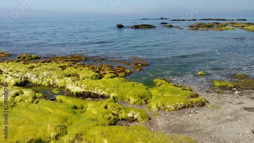 Playa, mar,  algas, agua, rocas, paisaje marino, Mijas, Málaga, paisaje marítimo © Maika
