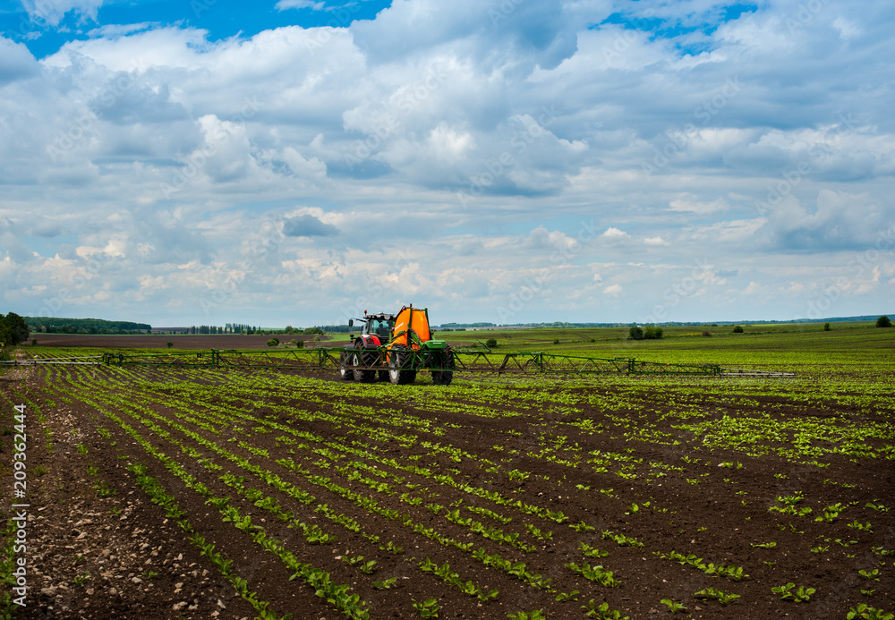 tractor, sugar beet, spraying on field tractor, sugar beet, spraying on field