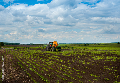 tractor, sugar beet, spraying on field