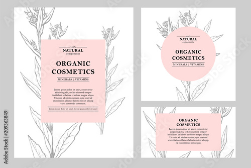 Vector hand drawn floral cards and banners. Botanical hand drawn illustration. Vintage hipster herb templates. Natural organic cosmetics packaging design.