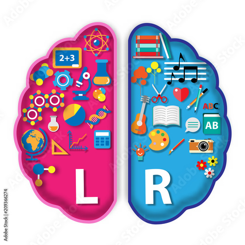 Left and right hemisphere brain concept paper art style vector