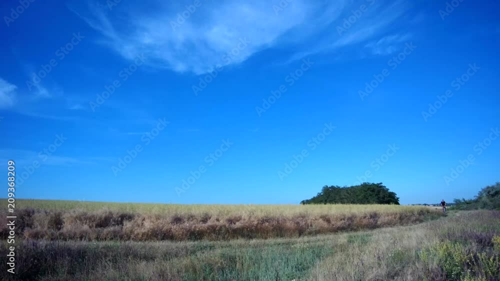 male tourist on a bicycle traveling along a farm field male tourist on a bicycle traveling along a farm field