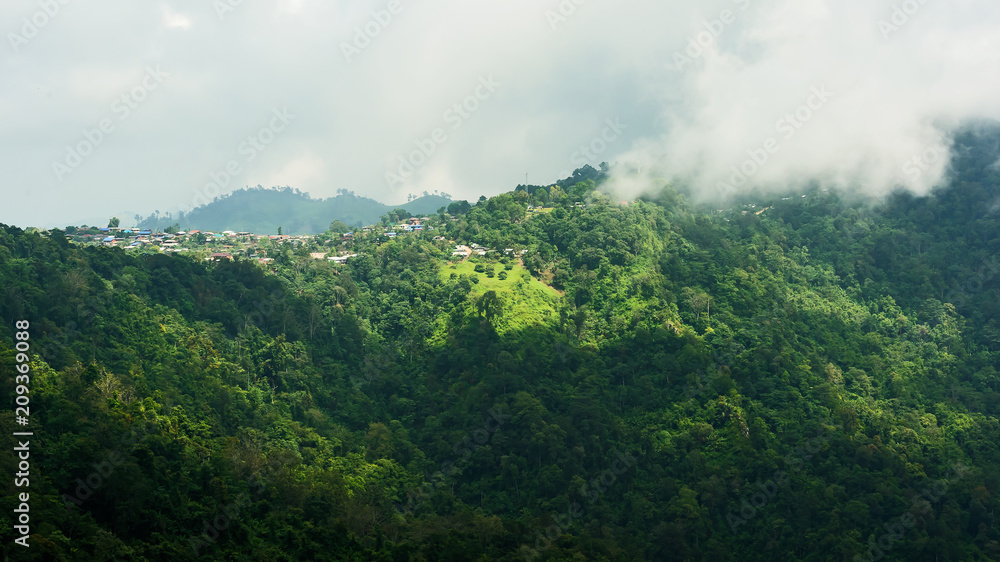 Phu Tubberk mountain Fog. Phu Tubberk mountain Fog.