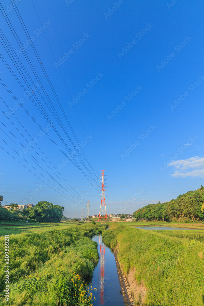Obraz premium 春の朝の四街道の田園風景