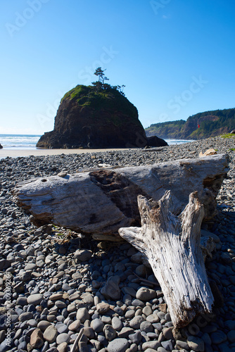 Driftwood and Sea Stack, Short Beach, Cape Meares, Oregon