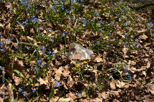 Plastic garbage problem in the spring forest and early flowers