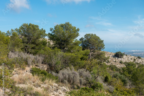 The Mediterranean Sea from the desert of the palms in Benicassim