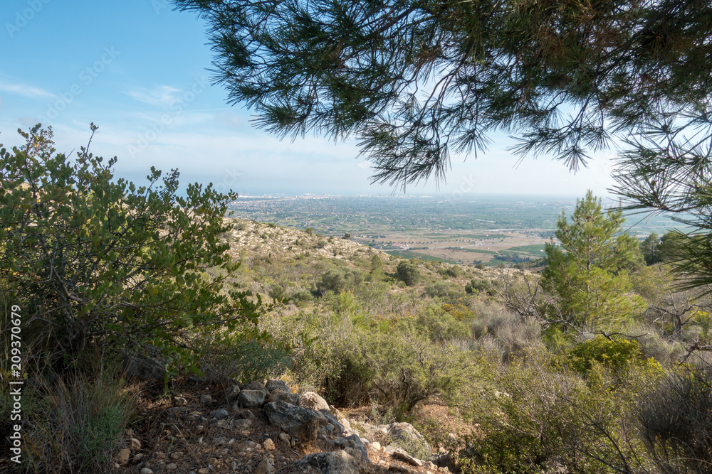 The Mediterranean Sea from the desert of the palms in Benicassim The Mediterranean Sea from the desert of the palms in Benicassim