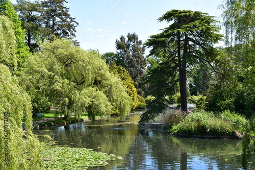 Beautiful Park