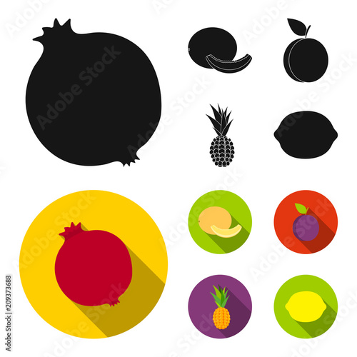 Melon, plum, pineapple, lemon.Fruits set collection icons in black, flat style vector symbol stock illustration web. photo