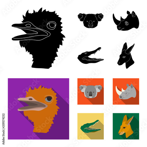 Ostrich, koala, rhinoceros, crocodile, realistic animals set collection icons in black, flat style vector symbol stock illustration web. photo