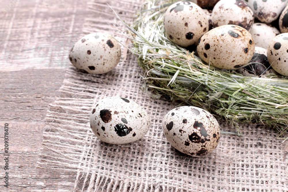 Quail eggs close-up next to the nest on a brown wooden background Quail eggs close-up next to the nest on a brown wooden background