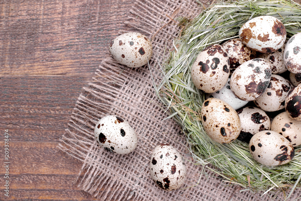 Quail eggs close-up next to the nest on a brown wooden background. Top view Quail eggs close-up next to the nest on a brown wooden background. Top view