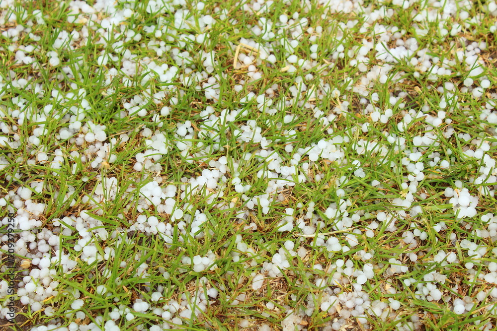 Hailstones that fell in the summer. White hailstones on green grass. Close-up. Background. Texture.