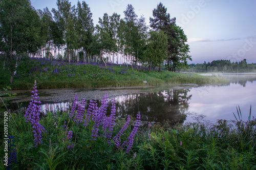 Lake in Russia © Axeffett
