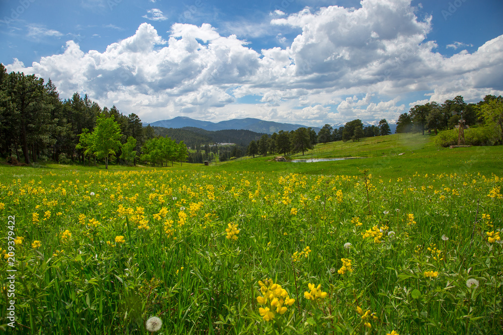 Colorado Prarie