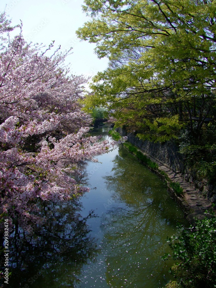 oumihachiman shiga japan