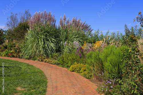 Brick pavers walkway with pampas and ornamental grasses