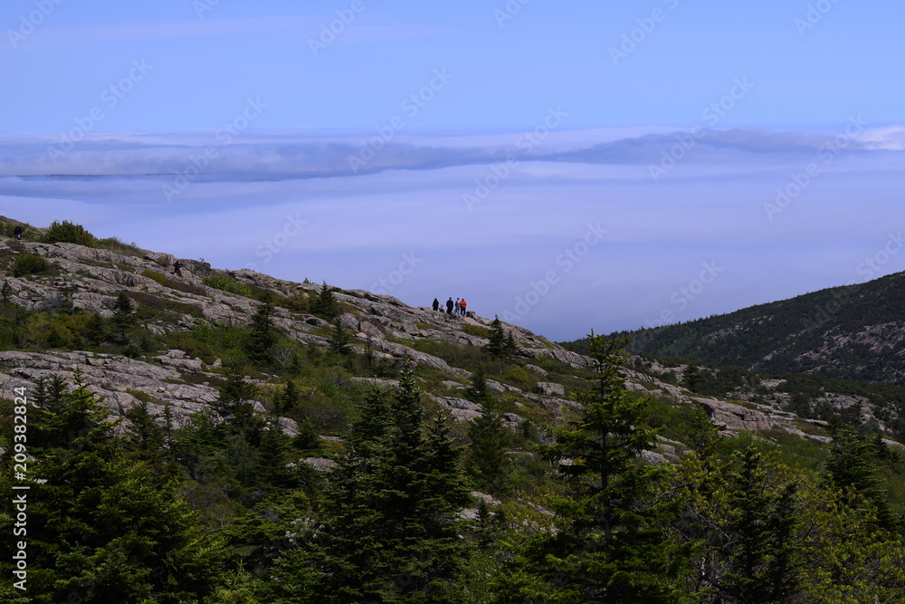 Fototapeta premium Cardilac mountain in Maine , U.S.A