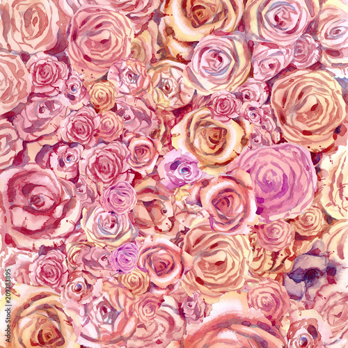 Background of flowers of roses in watercolor.