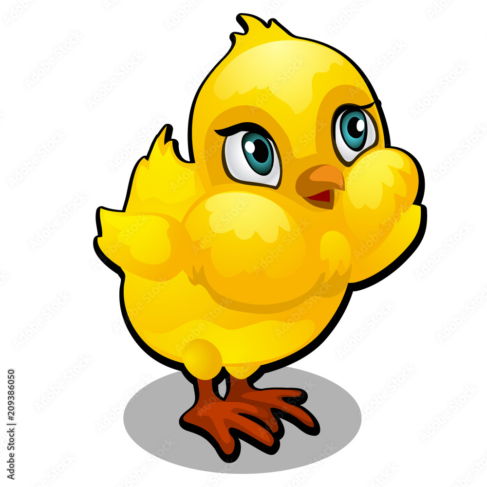 Cute yellow cartoon chick isolated on a white background. Vector cartoon close-up illustration. Cute yellow cartoon chick isolated on a white background. Vector cartoon close-up illustration.