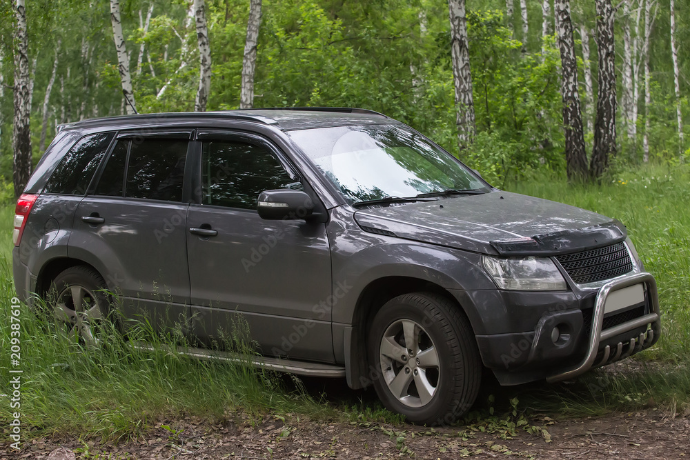 SUV in nature in the forest