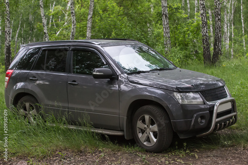 SUV in nature in the forest