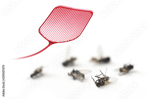 red  flyswatter and dead flies isolated on a white background, copy space, macro shot