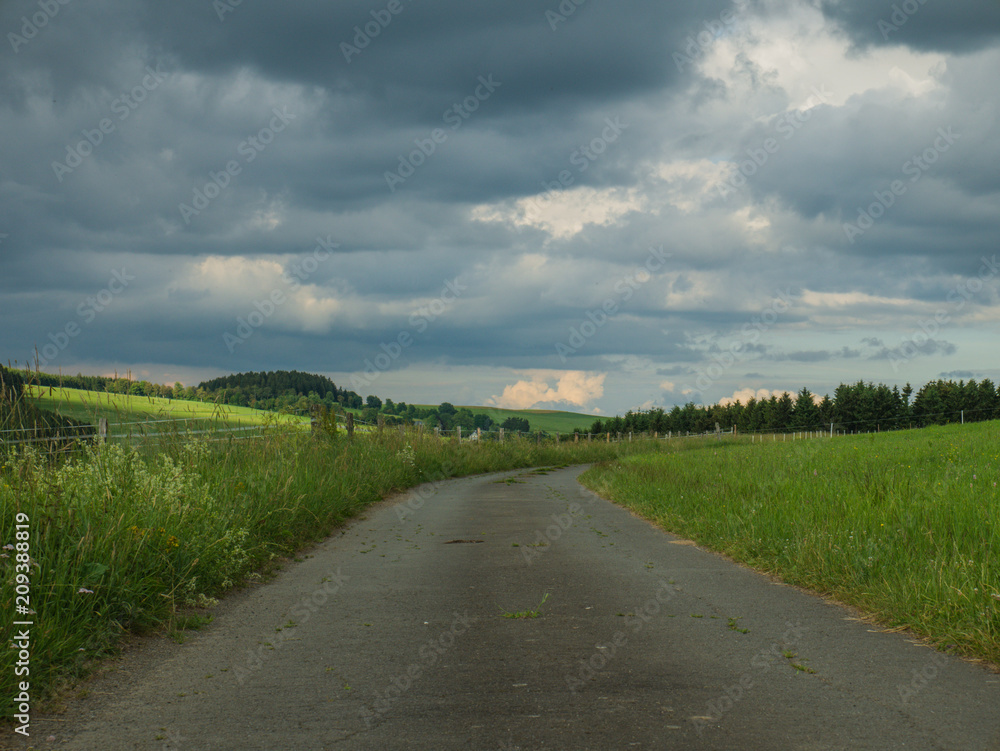 Obraz premium Ein kleiner Waldweg unter einem bewolktem Himmel