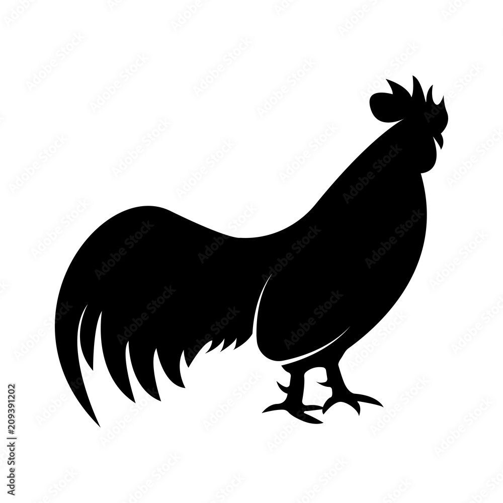 Fototapeta premium Vector image of the cock silhouette