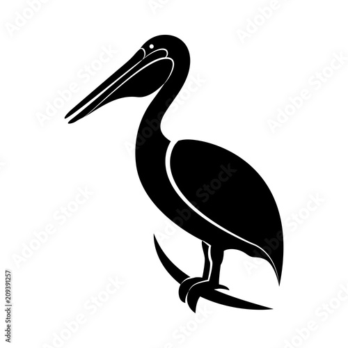 Vector image of pelican silhouette photo