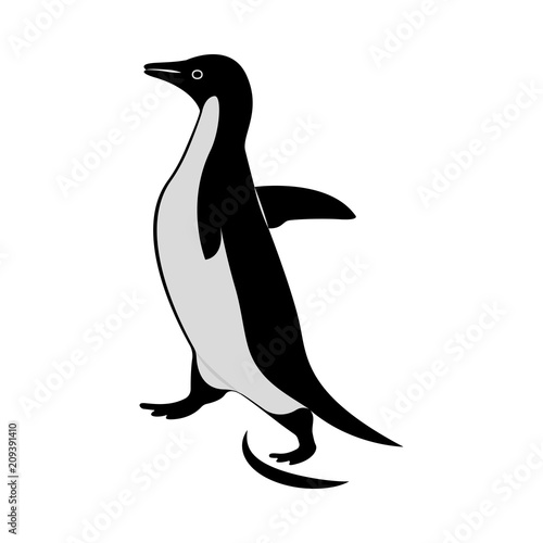 Vector image of the penguin silhouette