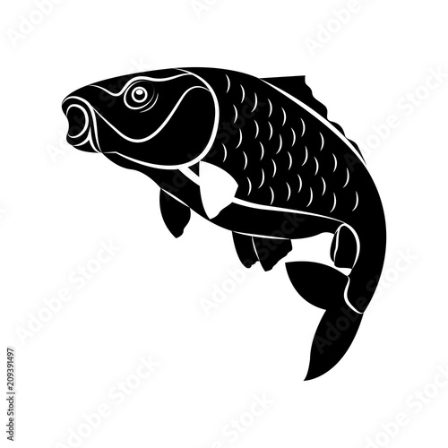 Vector image of fish carp silhouette