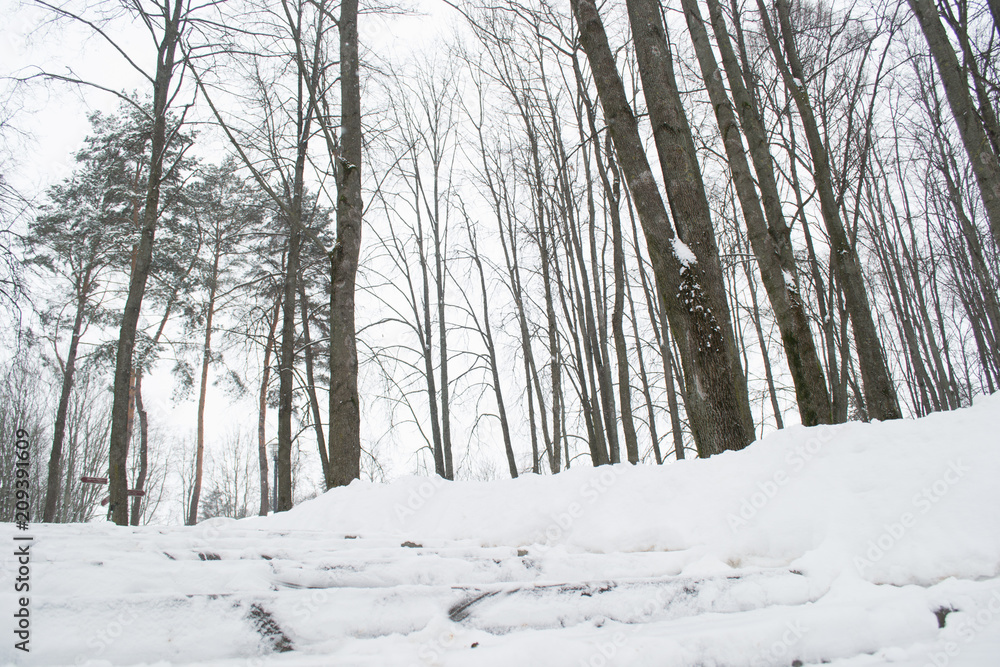 Obraz premium winter,