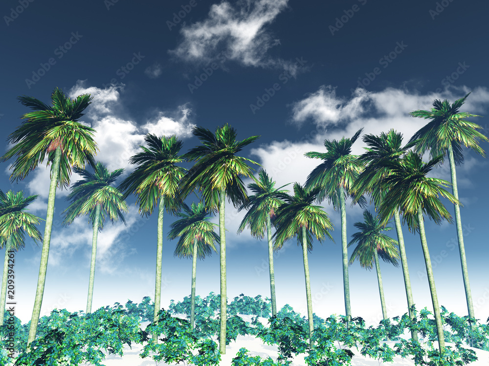 Obraz 3D krajobraz drzewa palmowego