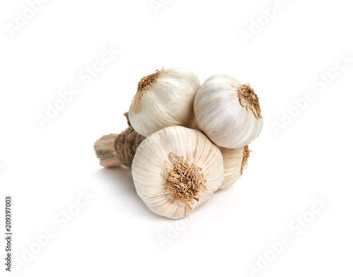 Garlic Isolated against a white background.