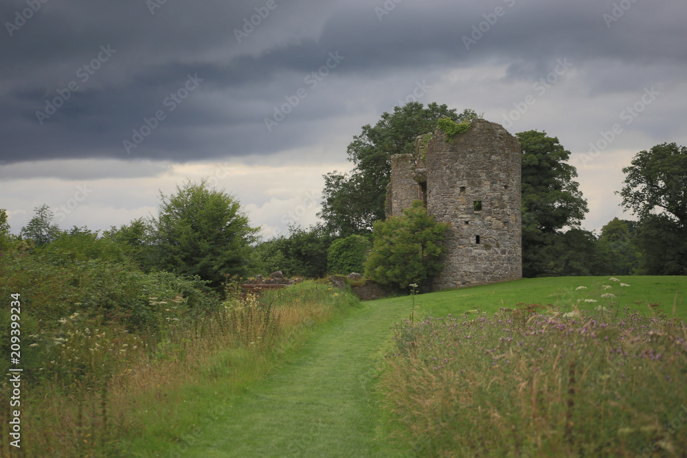 ruins of castle