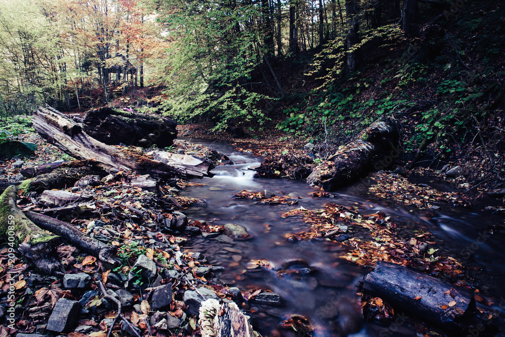 Autumn mountain river stream in the rocks with colorful red fallen dry leaves, natural seasonal background Autumn mountain river stream in the rocks with colorful red fallen dry leaves, natural seasonal background