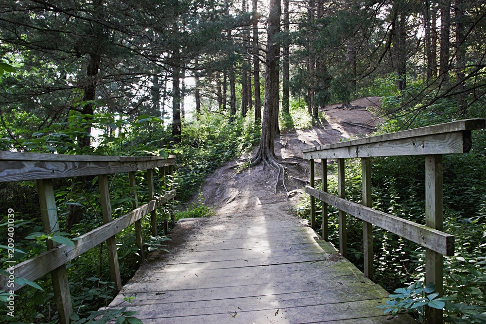 Fototapeta premium Old wood bridge on wooded trail in Omaha, NE
